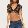 Aloya Lace V Neck Crop Top